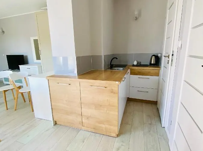 Rozany Ogrod 公寓 莱鲍